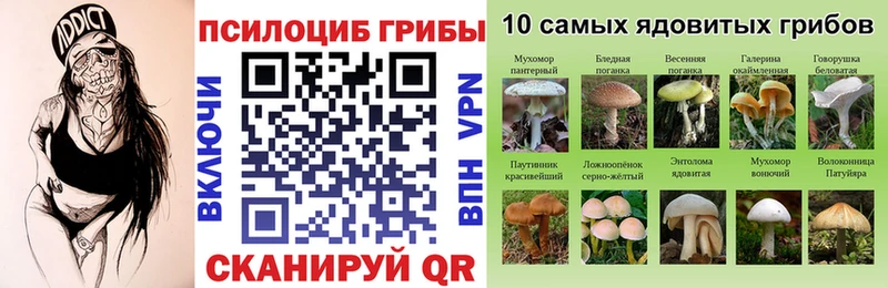 цены наркотик  Верхняя Салда  Псилоцибиновые грибы MAGIC MUSHROOMS 