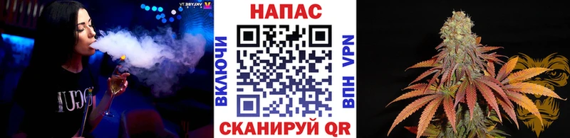 Конопля ГИДРОПОН Верхняя Салда